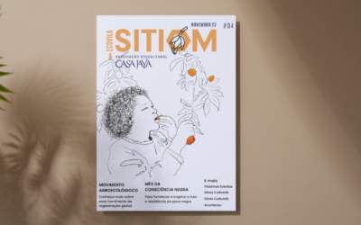 Boletim #04 SITIOM/Casa Jaya – novembro 2023