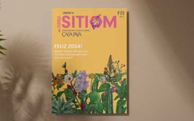 Boletim #06 SITIOM/Casa Jaya – janeiro 2024