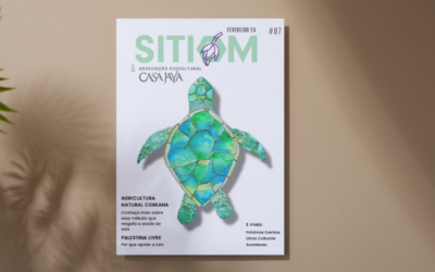 Boletim #07 SITIOM/Casa Jaya – fevereiro 2024