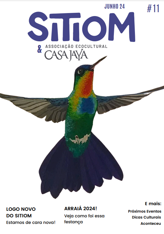 Capa 11