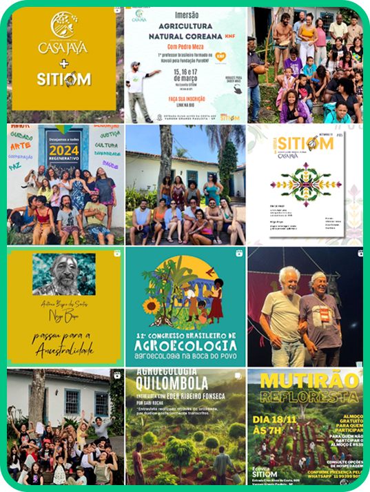 instagram-feed