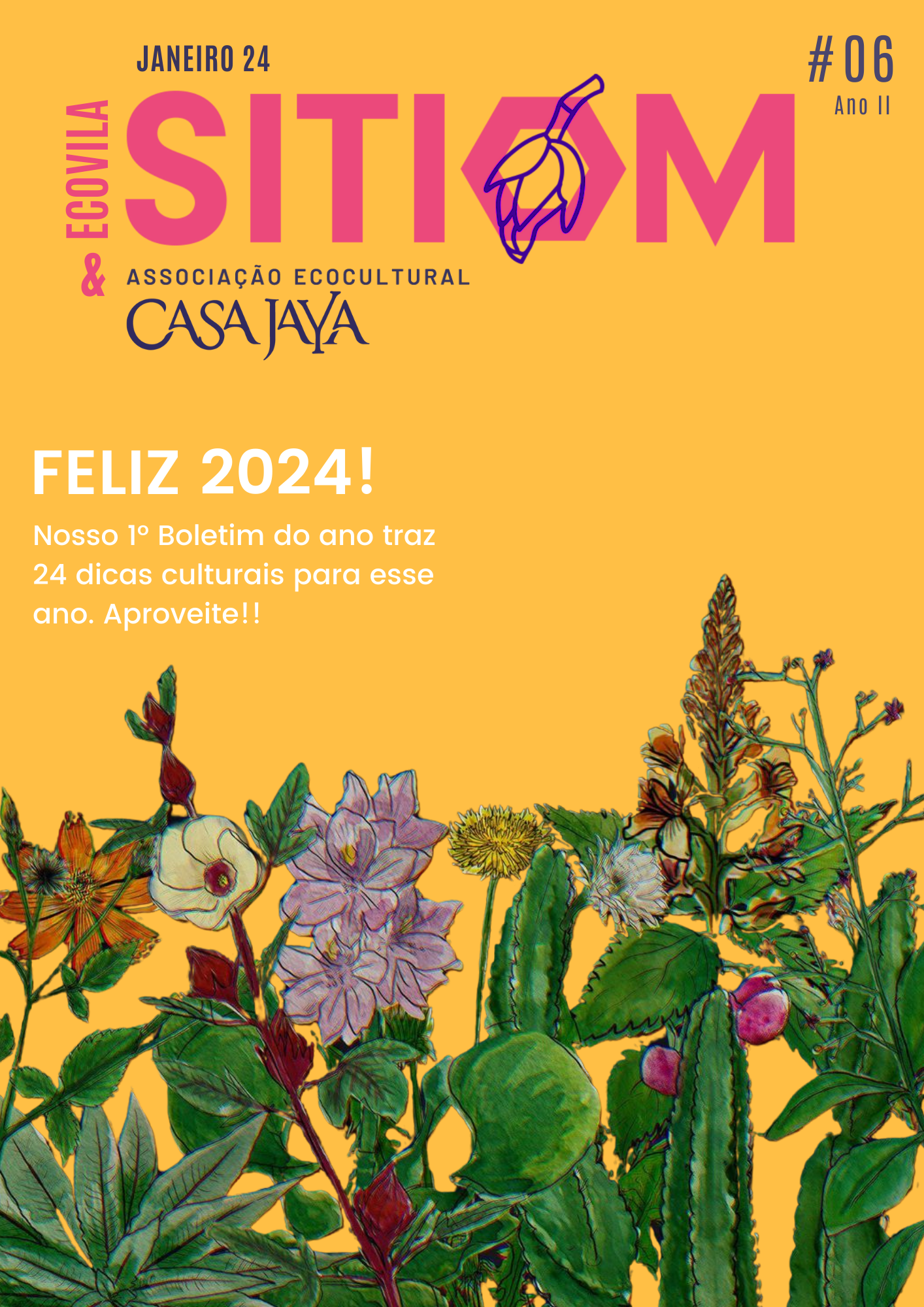 Boletim 06 Capa