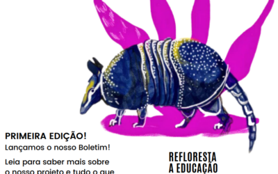 Boletim #01 – agosto 2023