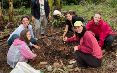 Agrofloresta Educadora 2025
