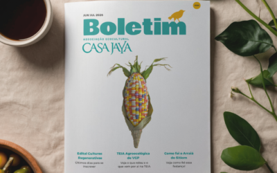 Boletim Casa Jaya #03 Jun/Jul 2026